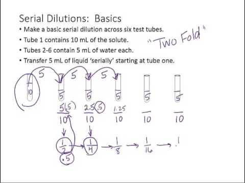 serial dilution lab conclusion